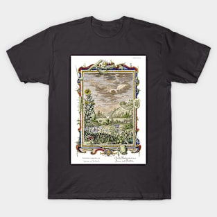 Thorns and Tribules - Flowers - Physica Sacra T-Shirt